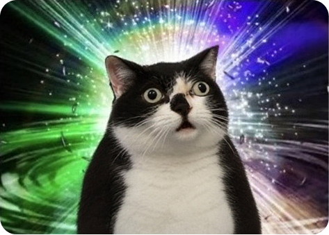 $MISCHA cat